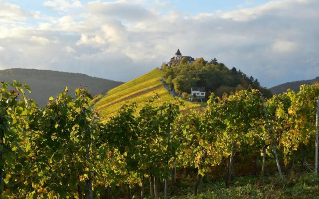 Weingut Rosenbaum