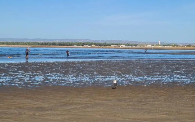 Mirando al mar y lleno de luz VFT/HU/01857