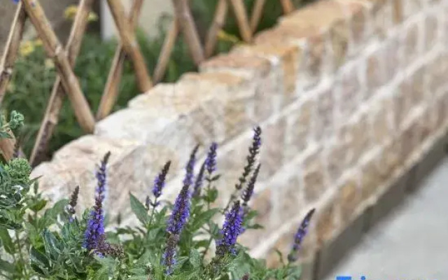 Shi Ji Li Season's Romance Romantic Garden Aesthetic Homestay (Dukezong Ancient City)