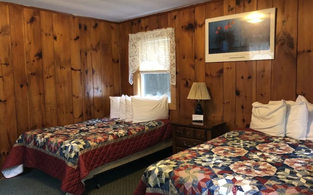 Lake George Bears Den