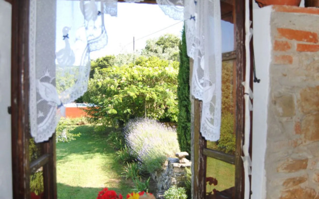 House Il Lamone Ambra