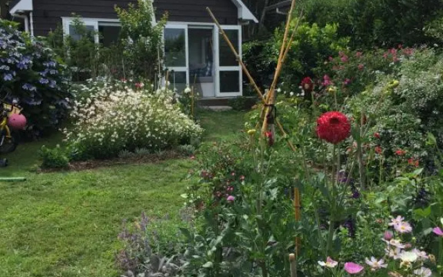 Hahei Kereru Cottage