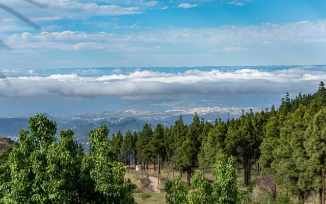 Roque Nublo Rural Houses I