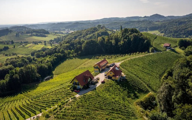 Weingut Gästehaus Otmar Birnstingl
