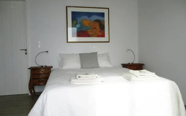 Comfortable Villa Near Sea in Andros