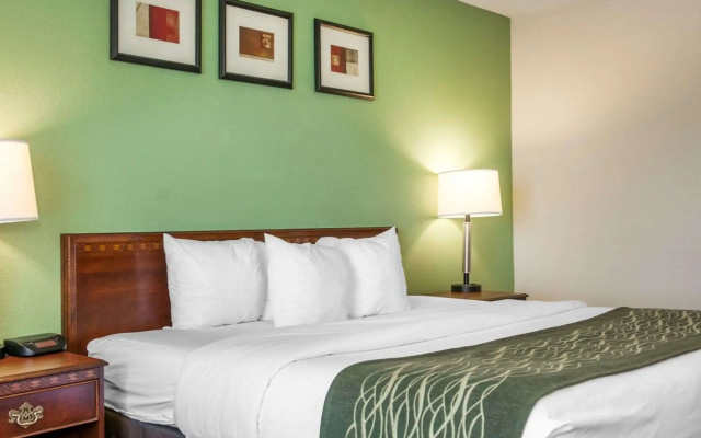 Comfort Inn Goshen