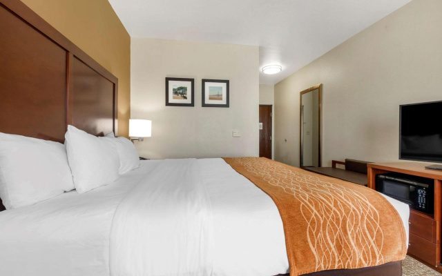 Comfort Inn Near UNT