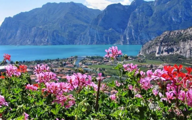 Appartamenti Nido DAquila