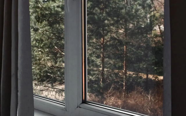 Авиатор Быково