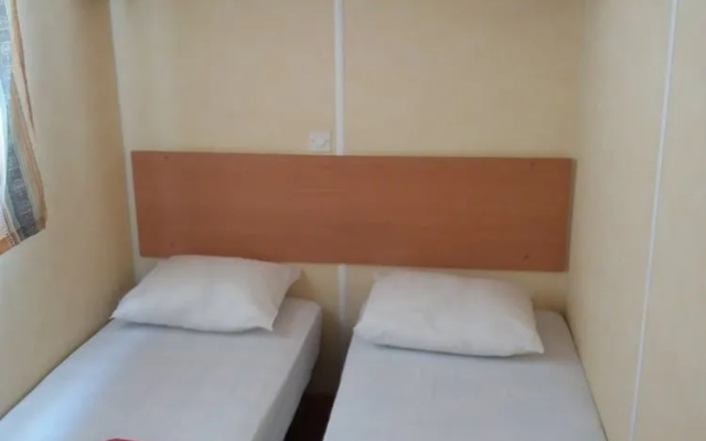 Camping Bola