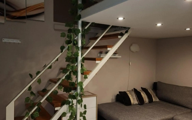 Comfortable and Homey apartment in downtown