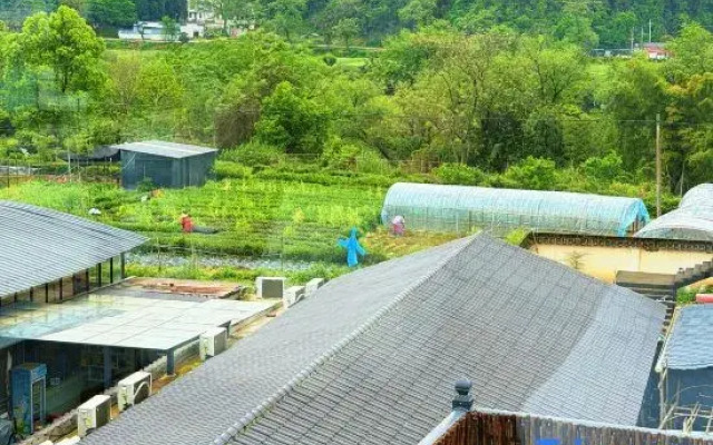 Half-Day Leisure · Free Courtyard (Baoyu Tower Branch, Wuyuan)