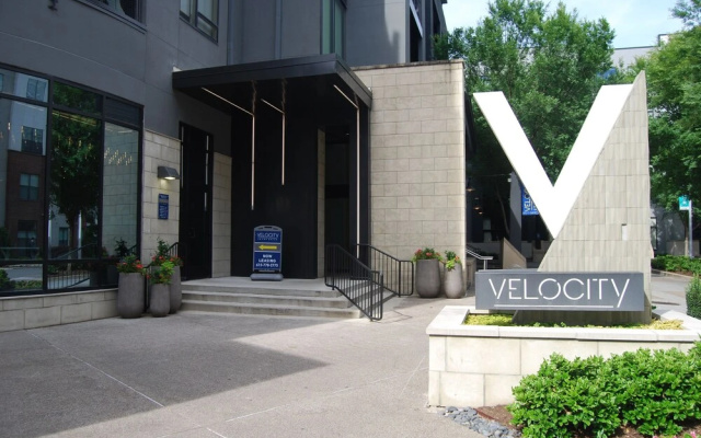 Velocity in the Gulch
