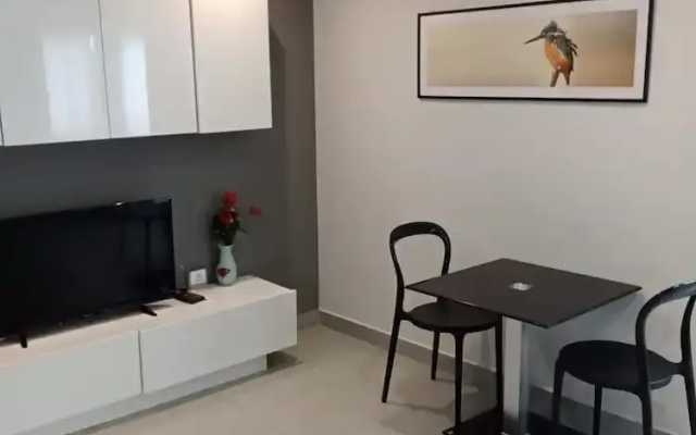 Large Corner Apt-1BR T1 207