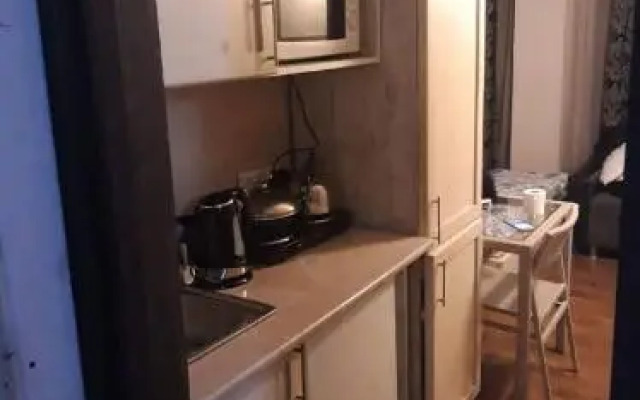 Hotel Mgzavrebi in Bakuriani apartment