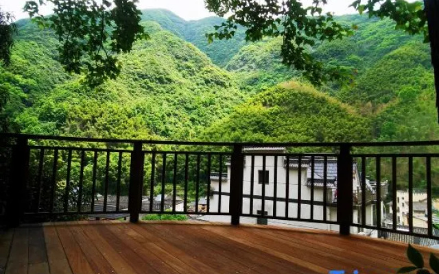 Tree House Guesthouse