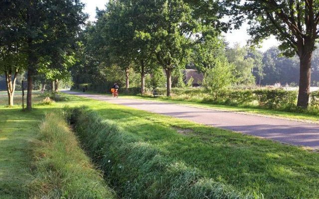 Voorhuis