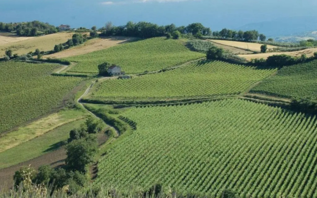 Il Melograno House