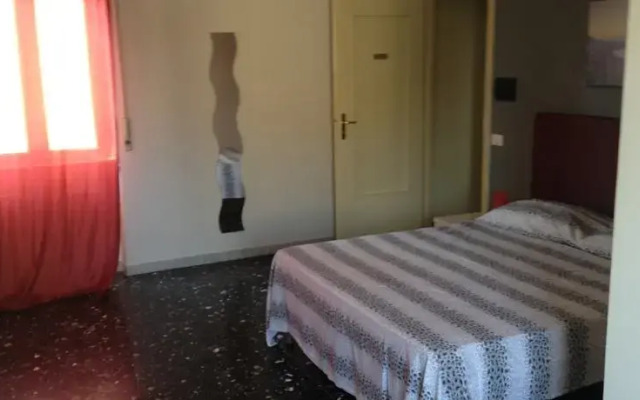 B&B Kennedi