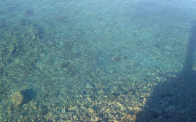Vesna - 100 m from sea - A1(2+1)