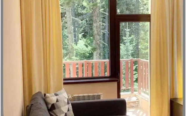 Flora Ski-slope Studio Apartment