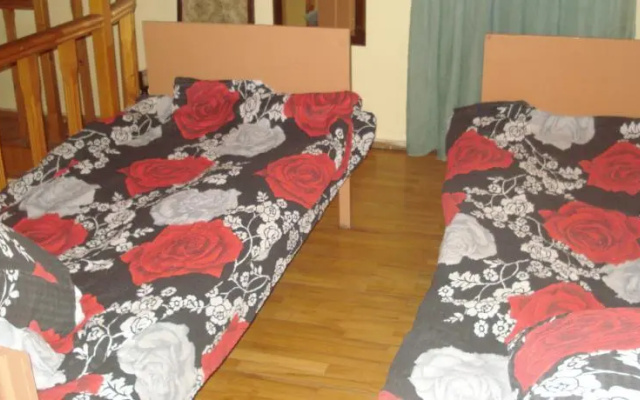 Bachos Studio