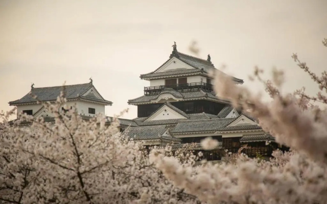 Matsuyama - House / Vacation STAY 57590
