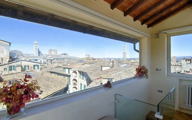Rinidia Siena Centro