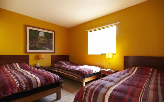 Flying Dog Hostels