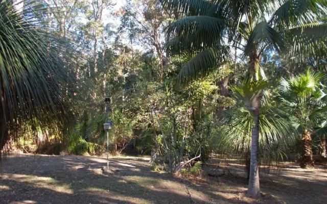 SWR Rainforest Retreat 2