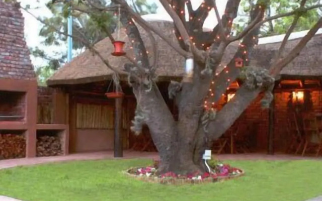Treetops Guesthouse