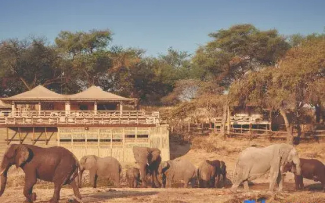 Savute Elephant Lodge