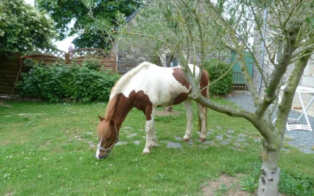 Gîte Losten Ar Gogues
