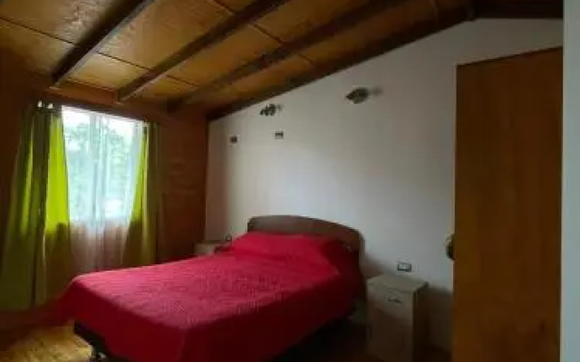 Cabañas Newen