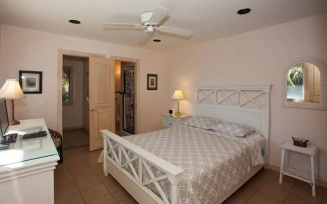 Always Turtle Crawl by Jekyll Realty