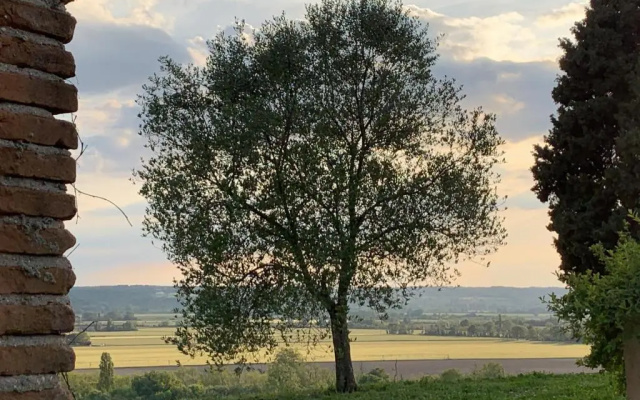 Domaine de Quintalone
