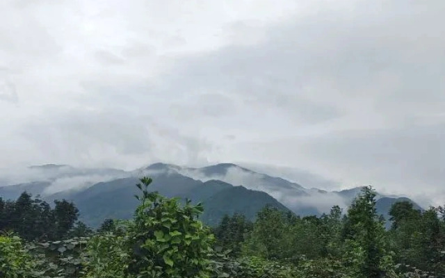 Mushanye Glamping