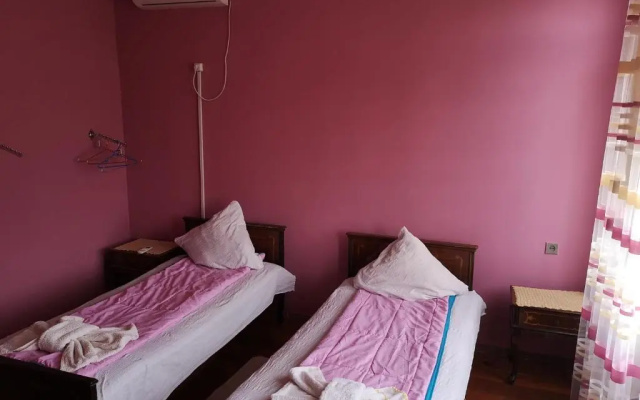 Shorena's House