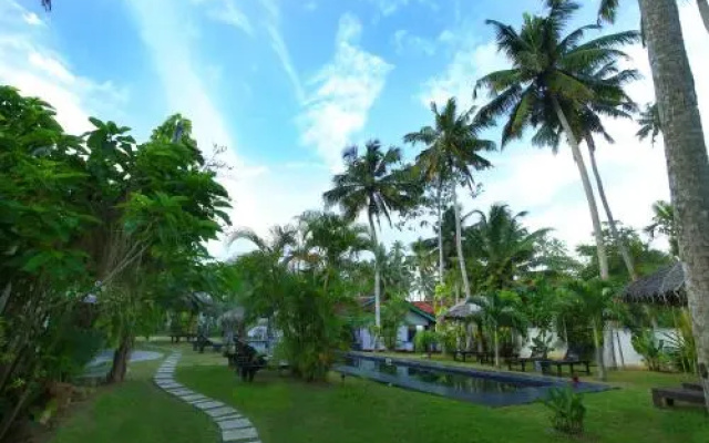 Turtle Eco Beach