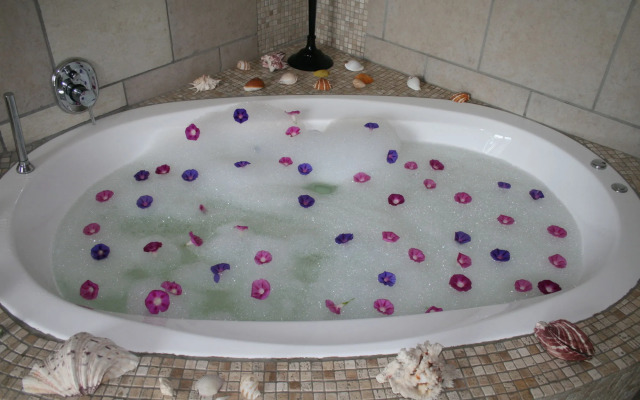 Africa Paradise Airport Boutique Hotel