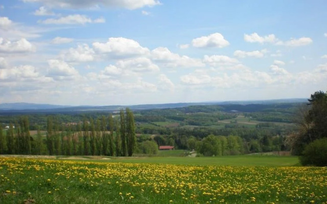 Wiesenbauer - Schlögl Anton