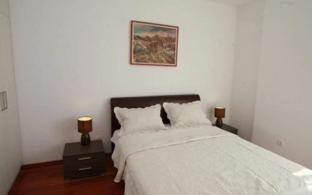 Volvox Apartment