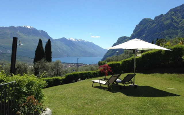 Verde Panorama