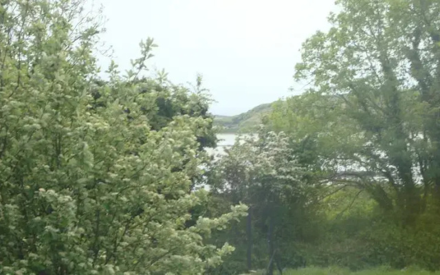 Knockmoy House B&B