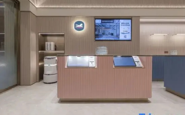 HanTing Hotel (Wuhu High-Speed Railway Station Wanyuecheng)