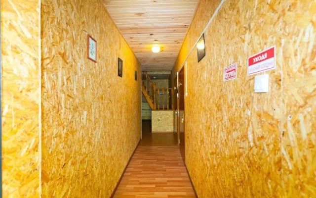 Оазис