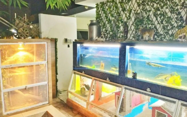 Finca Bambino Veracruz