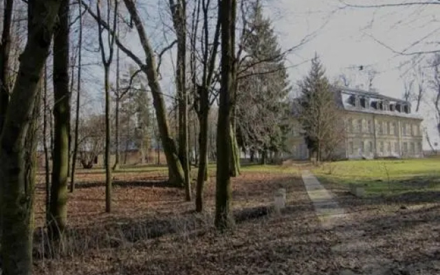 The Palace at Naklo