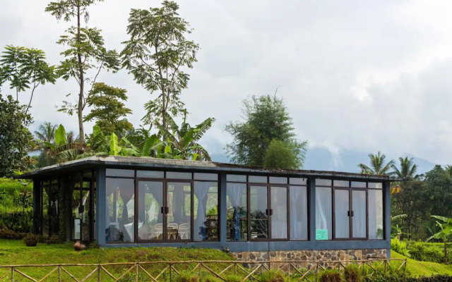 Tea Garden Resort