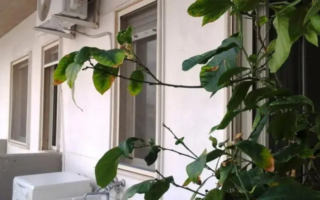 Casa Manu